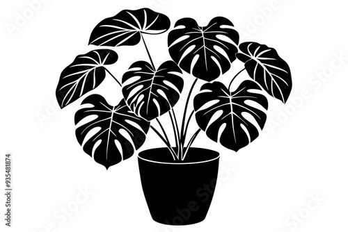 Monstera deliciosa plant in pot silhouette vector, potted plant vector silhouette vector

