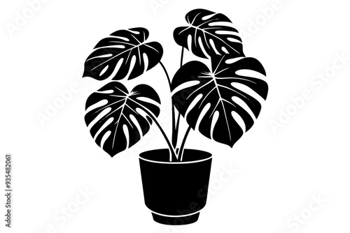 Silhouette of a monstera deliciosa plant in a pot