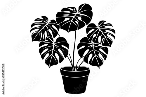 Silhouette of a monstera deliciosa plant in a pot