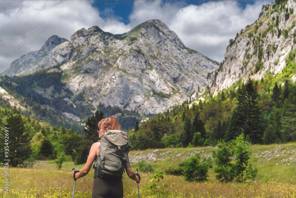 Female Walking in Flowering Alpine Mountain Valley