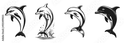 Cartoon Dolphin Drawing Vector Set