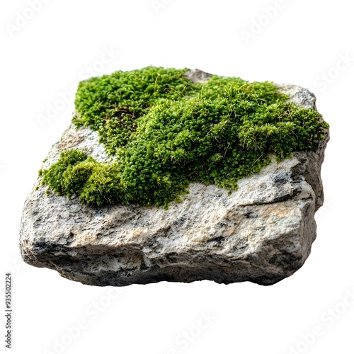 Photograph of Vibrant Green Moss Growing on Rugged Stone Surface