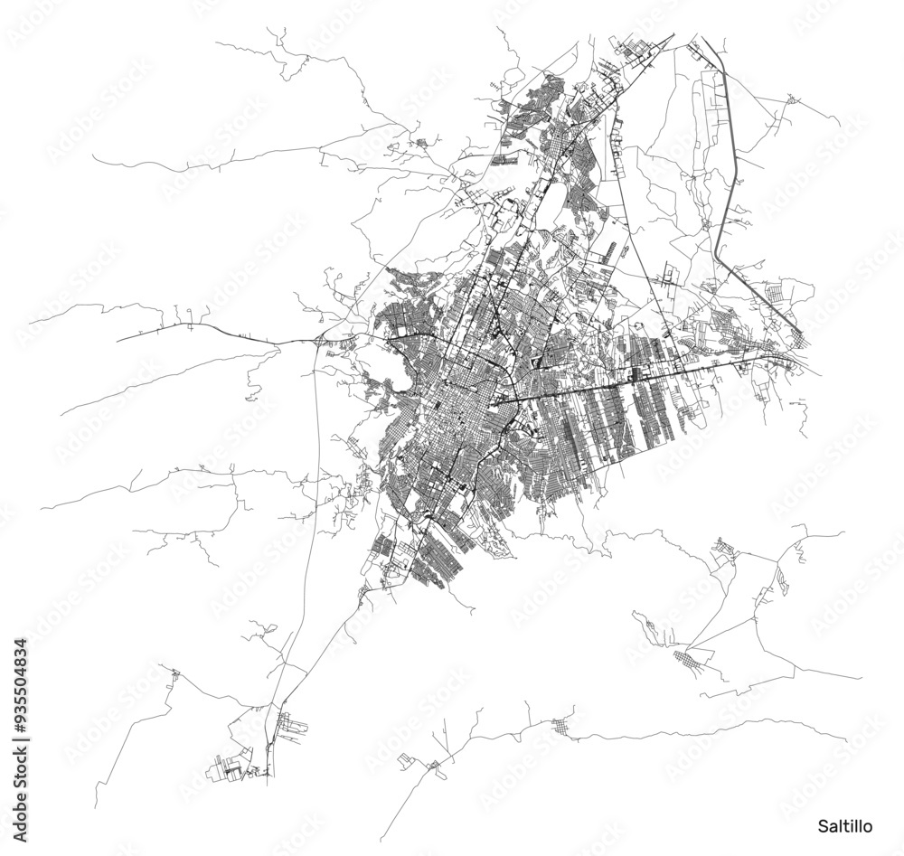 Obraz premium Saltillo city map with roads and streets, Mexico. Vector outline illustration.