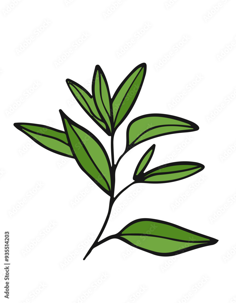Naklejka premium Green tea leaves. Hand drawn illustration of branch.