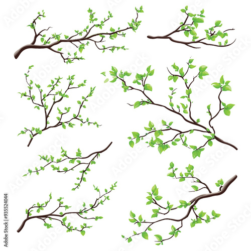 vector set of various tree branches with green leaves with white background