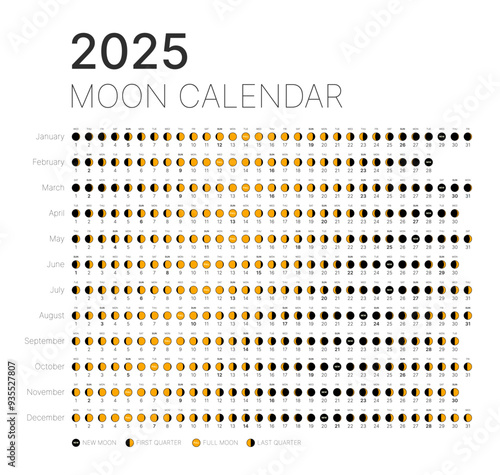 Astrological lunar phases calendar for 2025. Lunar calendar monthly cycle planner banner. Lunar astrology calendar, poster, card, lunar schedule on white background vector illustration