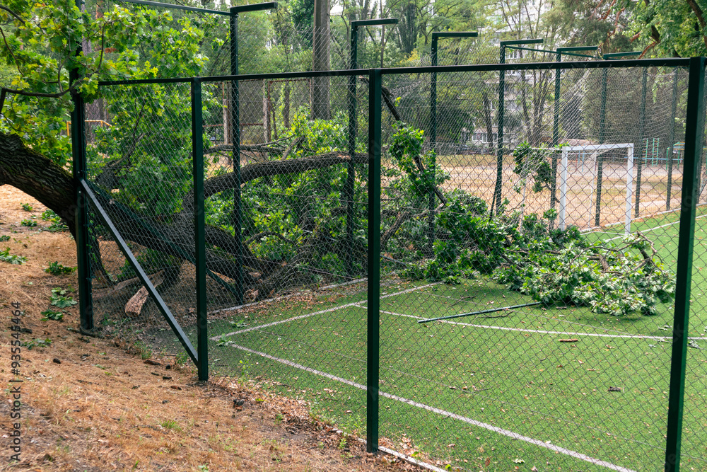 A large branch from an old oak tree fell onto the school football field. A strong wind broke an oak branch A large branch from an old oak tree fell onto the school football field. A strong wind broke an oak branch
