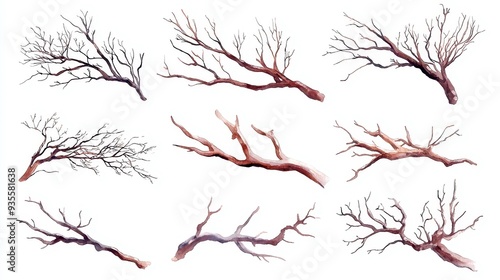 Hand-painted watercolor collection of bare tree branches, intricate details, soft hues, inviting empty background, perfect for artistic projects and nature-themed designs