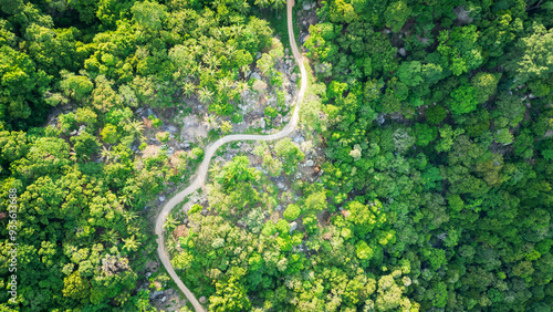 aerial top down narrowed switchback road in to the jungle with green palm tree vegetation in rainforest