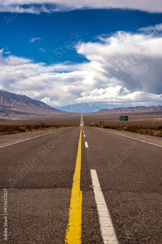 Route. Strada lineare Argentina. Parque Nacional Los Cardones photo