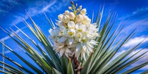 Delicate white yucca flower blooms amidst a fortress of sharp, waxy leaves, symbolizing resilience and beauty in harsh, arid environments. photo