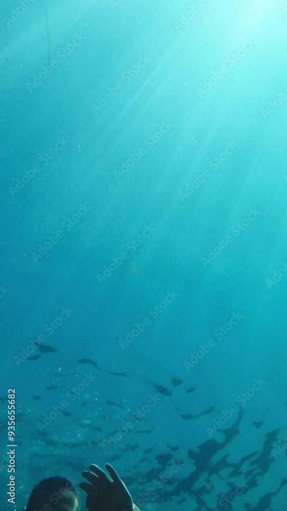 A man swims underwater against the background of the sky and the sun. View from underwater. Vertical Video A man swims underwater against the background of the sky and the sun. View from underwater. Vertical Video