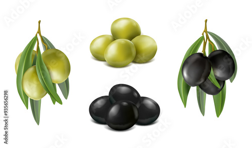 3d realistic vector icon set. Fresh whole olives and olives on the branch. Green olives and black olives.