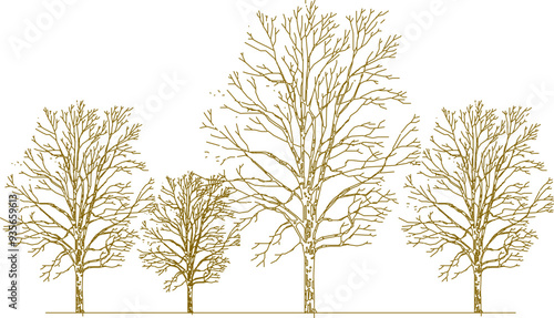 Vector sketch, silhouette illustration, detailed drawing design, collection of abstract unique trees in the forest with lots of branches for greenery