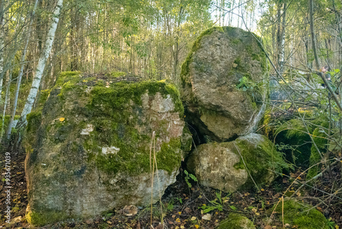 A knoll of rocks covered in vibrant moss is found in a forest