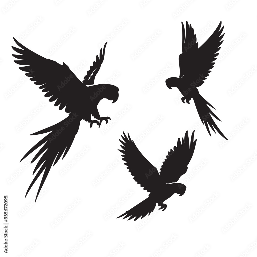 Obraz premium eagle vector illustration