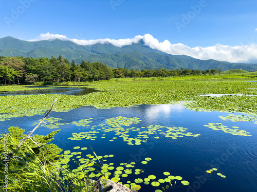 Beautiful summer lake and mountains in a sunny day