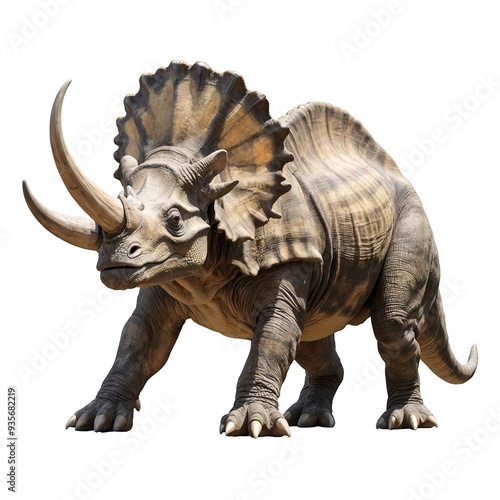 Powerful Rhinoceros, White Background