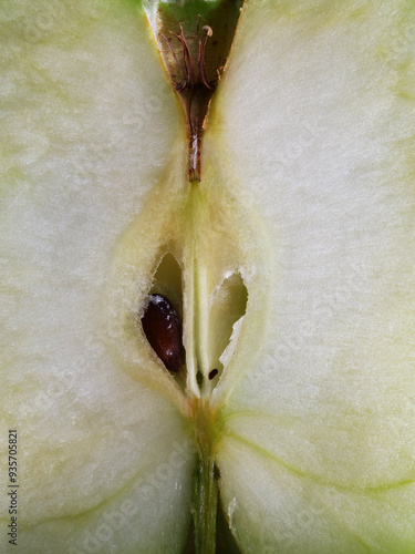 extreme close-up of organic and fresh half green apple seeds