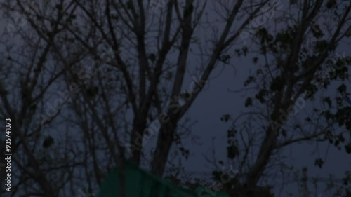 Thunderstorm lightning flash behind the trees.