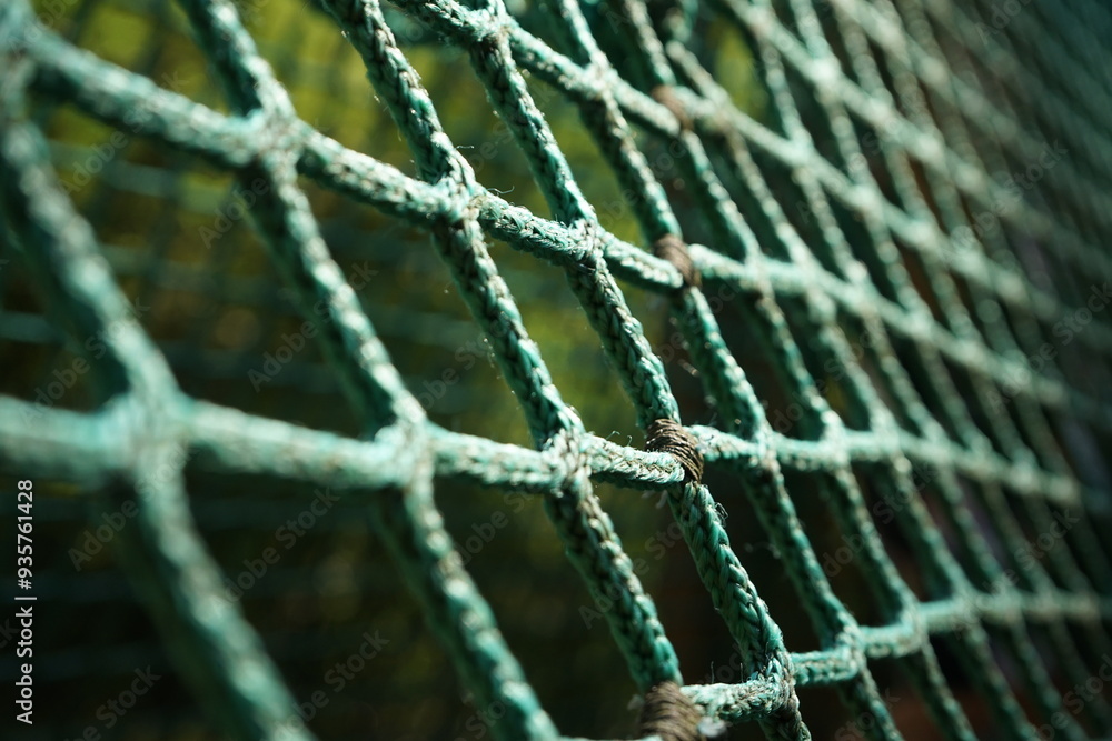 Interwoven Strength Net Interwoven Strength Net