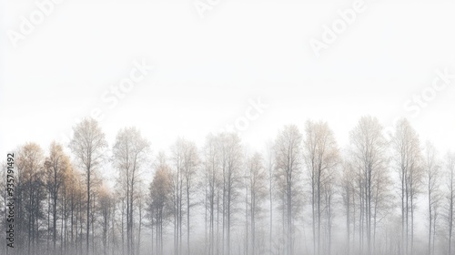 Soft colored, autumn background in gray autumn tones forest tree line elegant shades on white background. The generation of AI