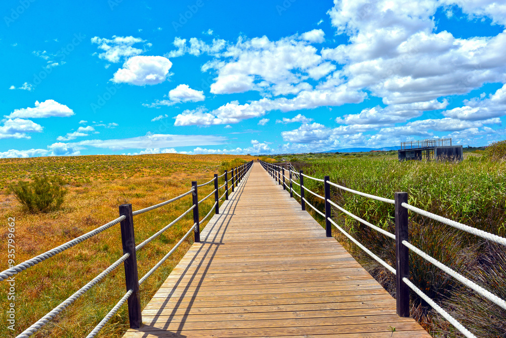 Obraz premium Wanderweg am Lagoa dos Salgados in Pêra/Algarve (Portugal)