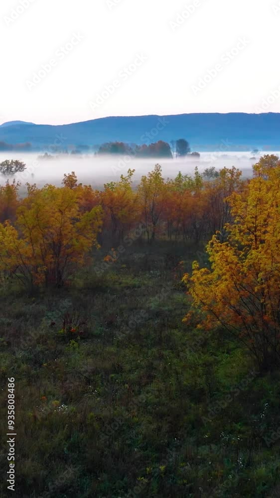 Aerial view of mountain during autumn Aerial view of mountain during autumn
