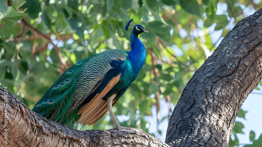 The Vibrant Peacock, generative AI The Vibrant Peacock, generative AI