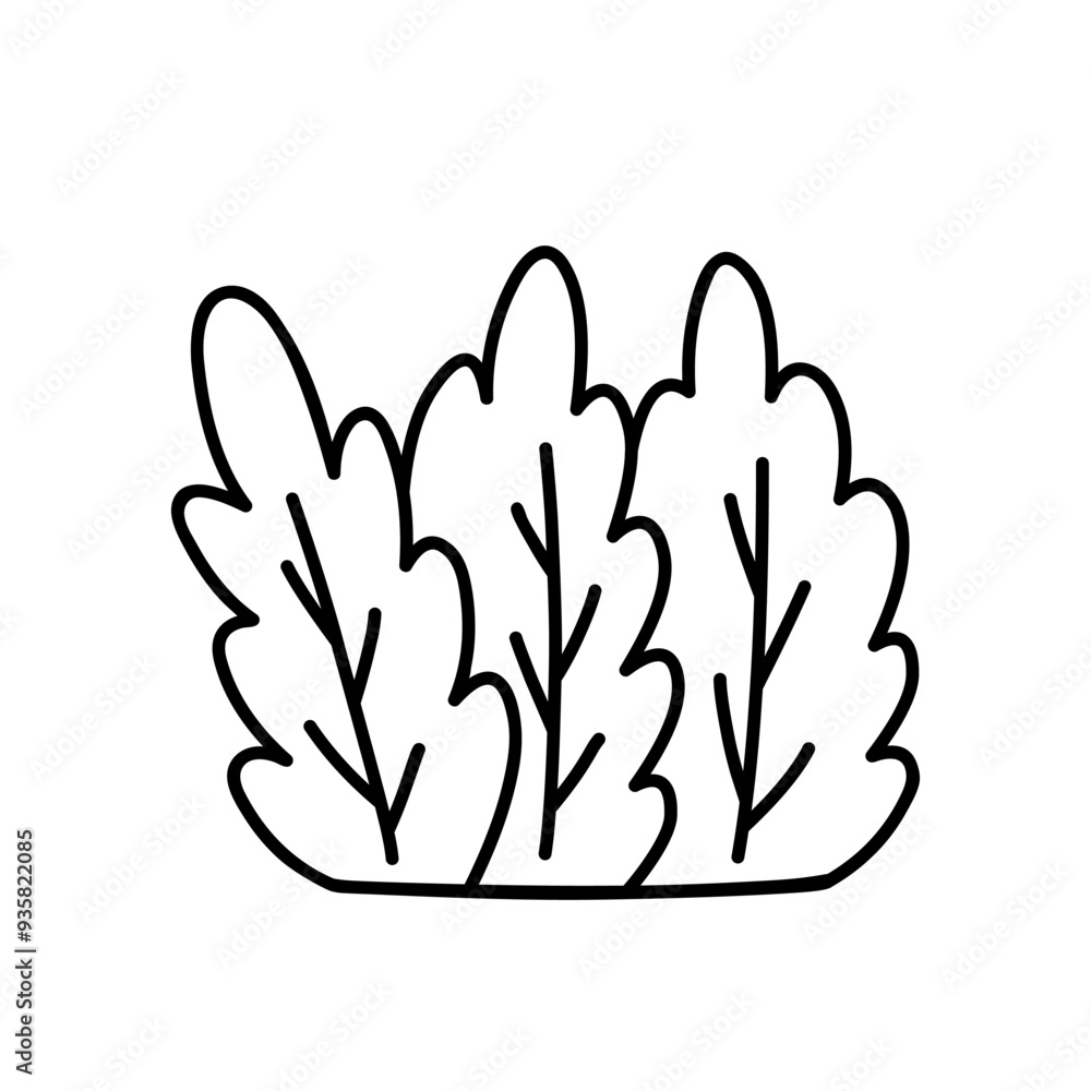 Bush isolated on a white background. Vector hand-drawn illustration in doodle style. Perfect for cards, decorations, logo, various designs. Bush isolated on a white background. Vector hand-drawn illustration in doodle style. Perfect for cards, decorations, logo, various designs.