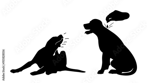 flea remedy for dogs,  black isolated silhouette