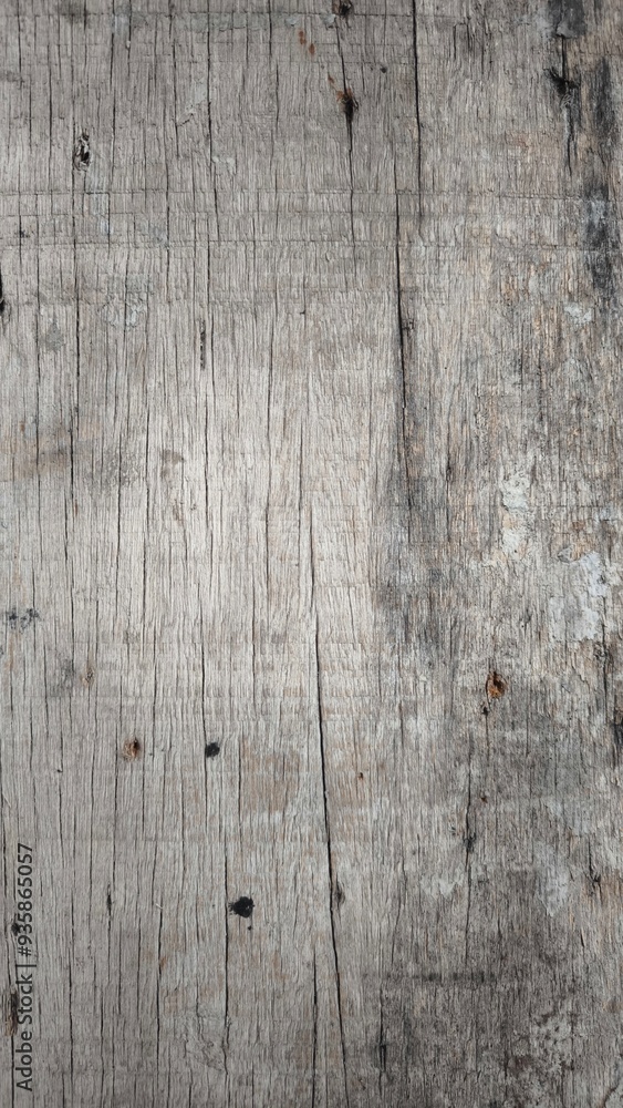 Wood texture for the background Wood texture for the background