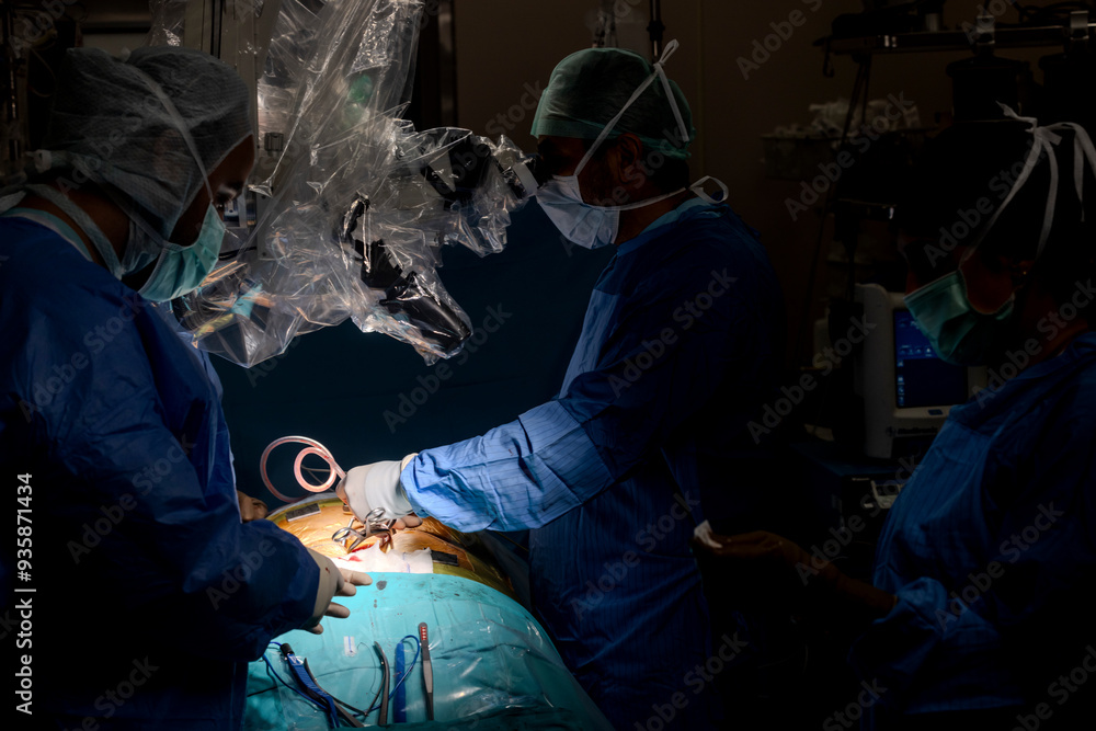 Surgeons who perform spinal cord surgery. Close up surgery team operating in modern hospital Surgeons who perform spinal cord surgery. Close up surgery team operating in modern hospital