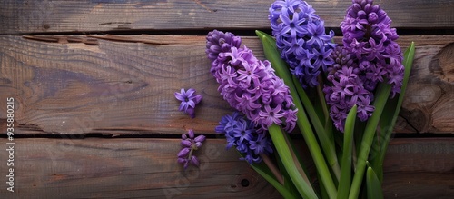 Lovely violet hyacinth flowers on a wooden background Copy space