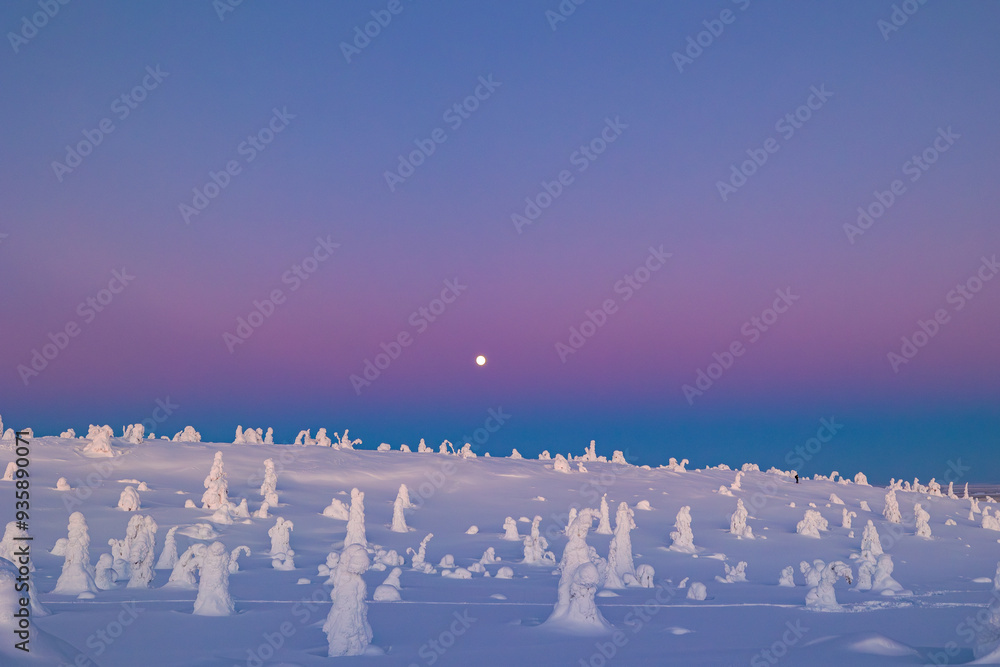 landscape with snow