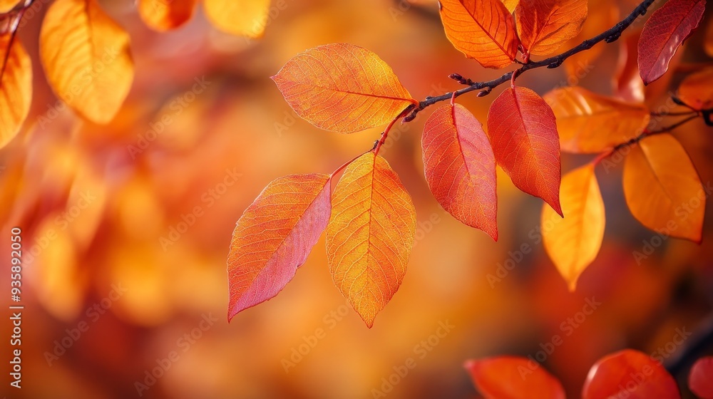 Autumnal foliage with vivid orange hues, captured in close-up macro detail. Autumnal foliage with vivid orange hues, captured in close-up macro detail.