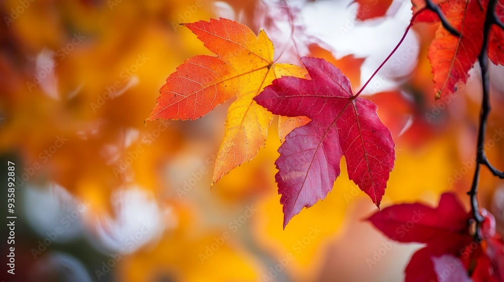 Autumn's arrival paints vibrant hues on nature's canvas, adorning trees with a tapestry of golden and crimson leaves that whisper tales of life and change. Autumn's arrival paints vibrant hues on nature's canvas, adorning trees with a tapestry of golden and crimson leaves that whisper tales of life and change.