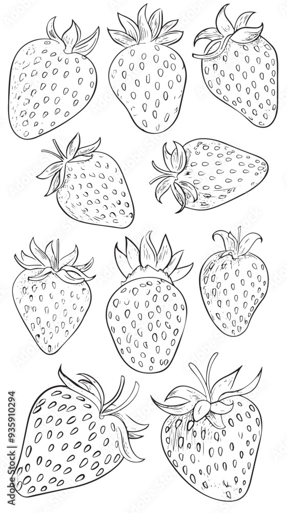 Set of strawberry. Hand drawn outline with transparent background vector Set of strawberry. Hand drawn outline with transparent background vector