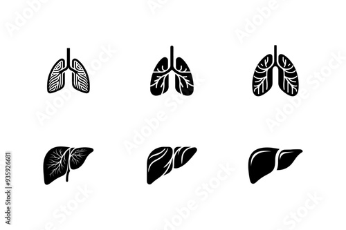 Lung and Liver silhouette illustration Set.