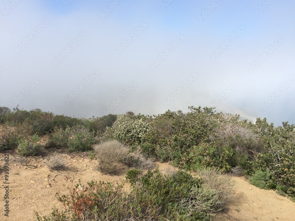 California Coastal Landscape with Fog Rolling Up near San Diego California Coastal Landscape with Fog Rolling Up near San Diego
