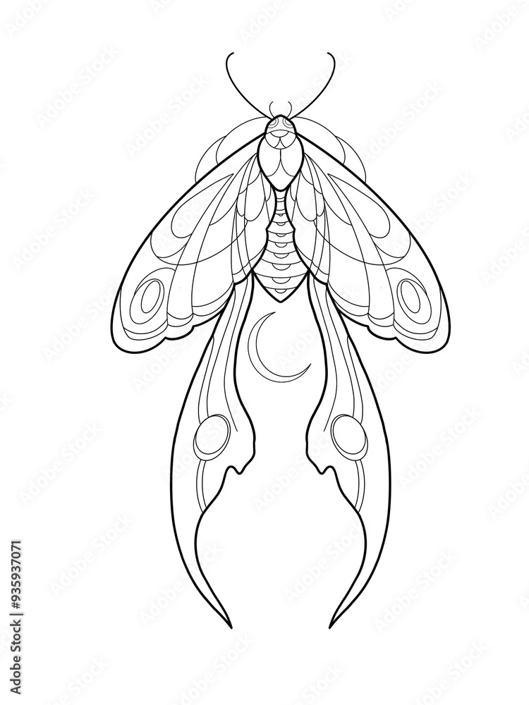 Moth Butterfly Tattoo Stencil T-shirt Print Vector Moth Butterfly Tattoo Stencil T-shirt Print Vector