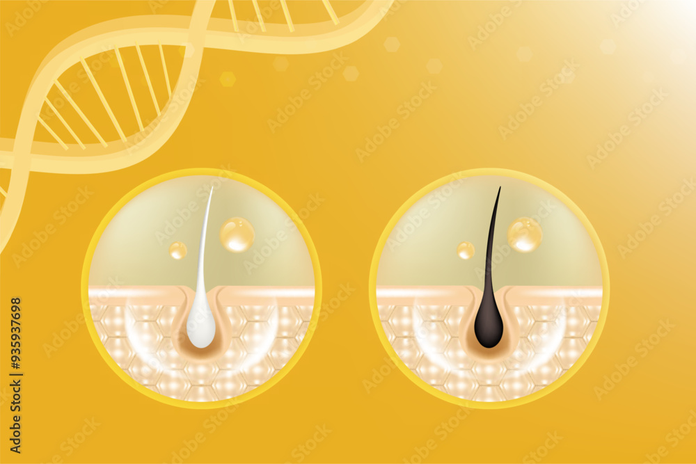 Hyaluronic acid and Niacinamide before and after gray hair and skin solutions ad, gold collagen