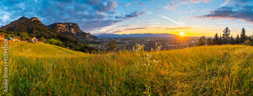panoramic view from sunset with the way to the top of the hill, through pasture and meadow with sheep eating grass and single tree, special light by sunset with little clouds on the sky