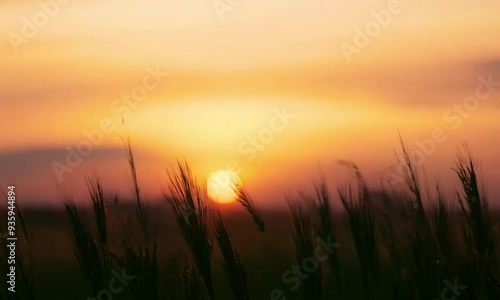 Tranquil 3d landscape at sunset with swaying tall grass