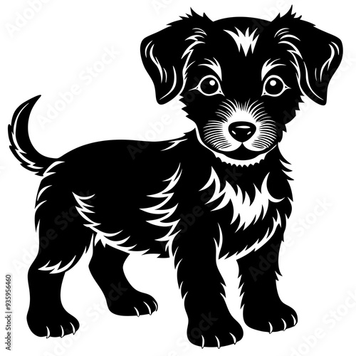 black puppy dog