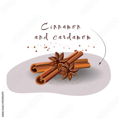 Vector illustration of cinnamon and cardamom. Illustration of food and spices. Ingredients for food and drinks