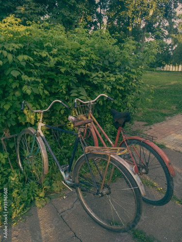 bicycles in the park