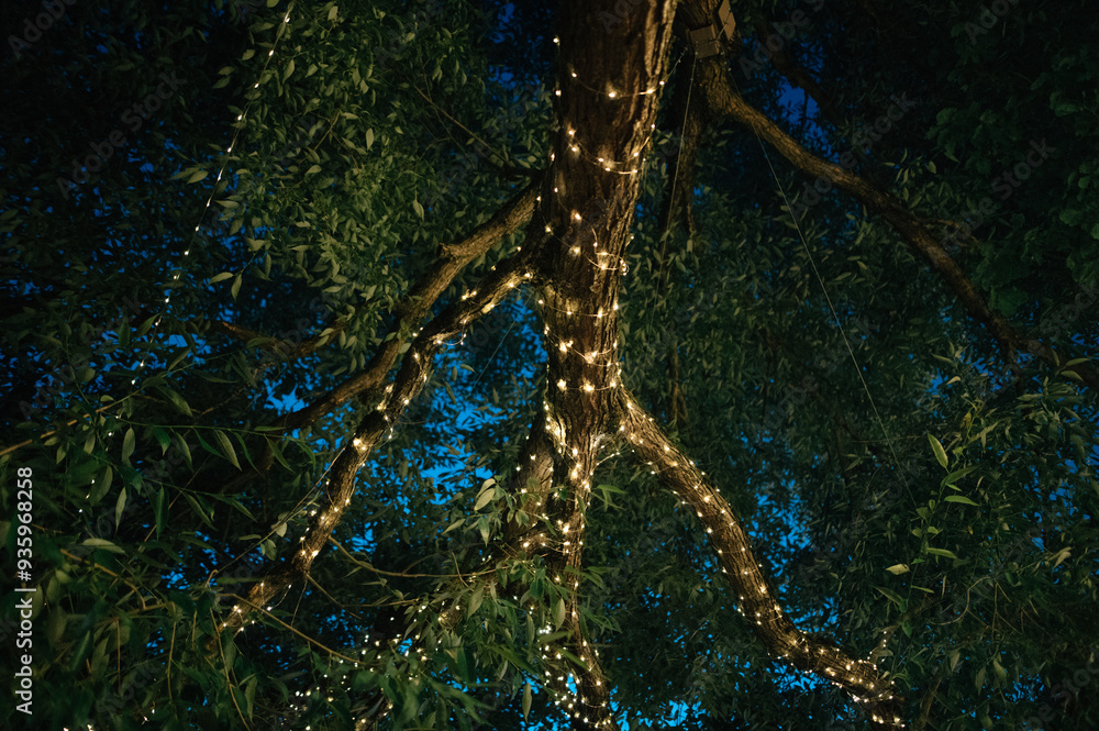 tree decorated with garland in the evening tree decorated with garland in the evening