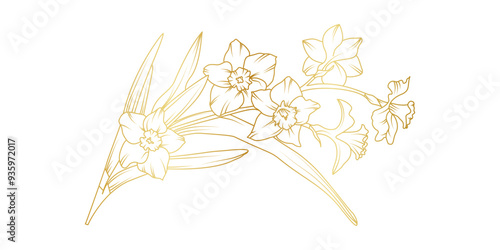 Narcissus lily flowers line art isolated on white background. Luxury daffodil floral golden design elements for invitation, wedding, wallpaper, print template, vector illustration