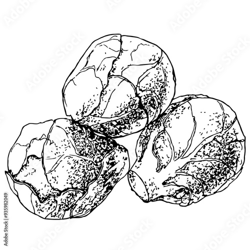 Highly detailed, hand drawn, and vectorized illustration of a Brussels Sprout. The illustration is fully editable and comes as single file in format SVG.